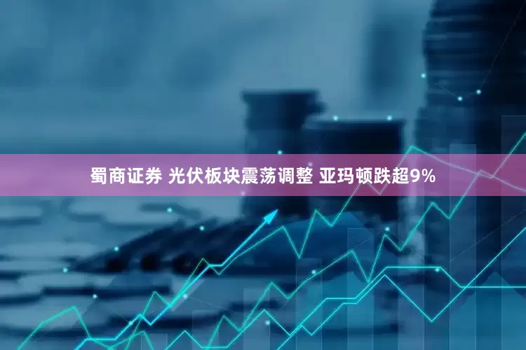 蜀商证券 光伏板块震荡调整 亚玛顿跌超9%
