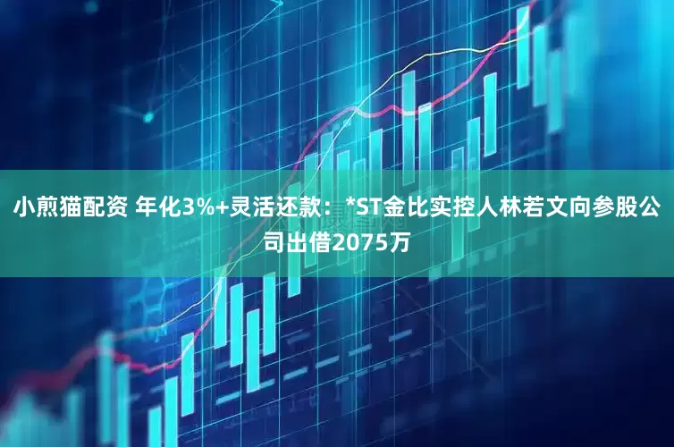 小煎猫配资 年化3%+灵活还款：*ST金比实控人林若文向参股公司出借2075万